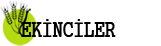 firma Logosu
